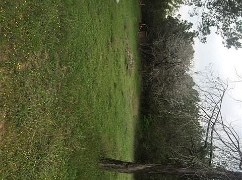 2nd image of 2101 County Road 414