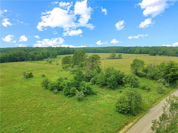 11653 French Hill Rd, Swain, NY 14884