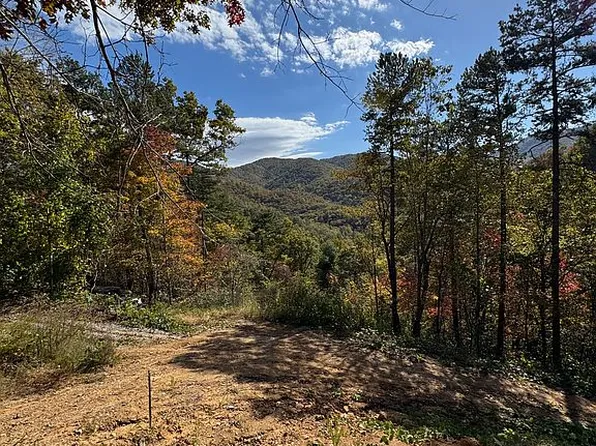 67 Ashley Lane, Robbinsville, NC 28771