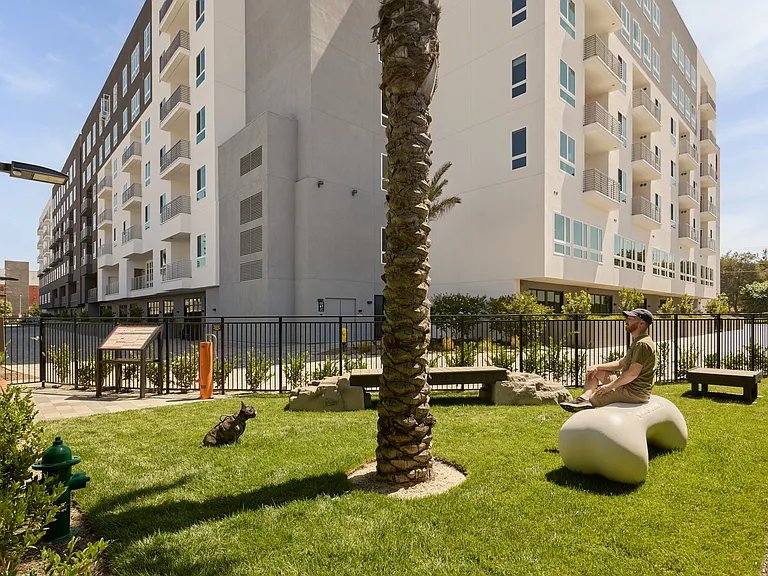 Paw Park