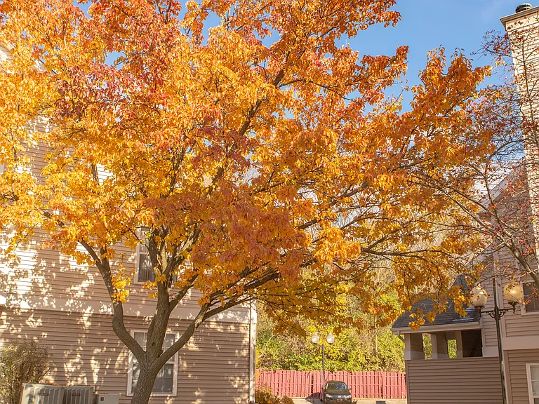 Harter Heights Place — Photo 43