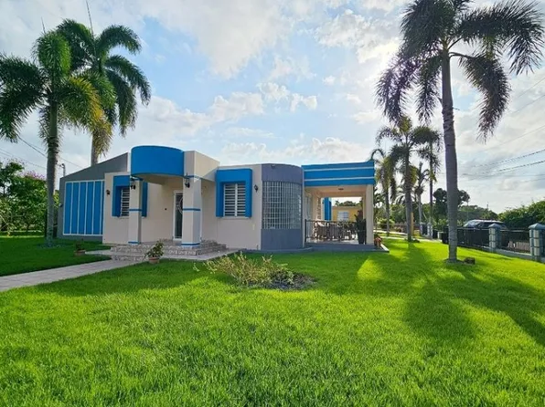 Sector Cacao Calle Roman #103, Quebradillas, PR 00678