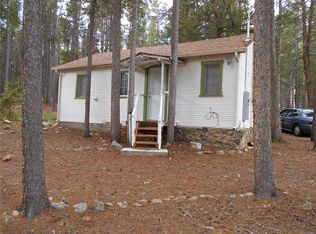 10919 Schweigert Ave, Conifer, CO 80433
