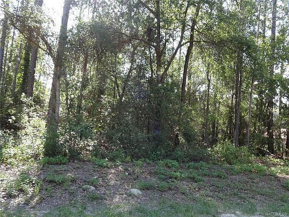 5th image of 8303 N Ocoee Ter