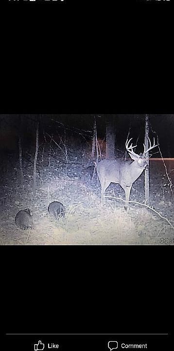 1st image of 10011 W Farm Road 4