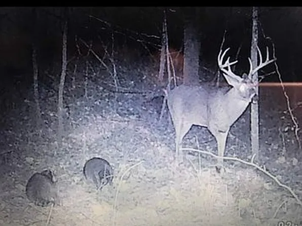 10011 W Farm Road 4, Walnut Grove, MO 65770