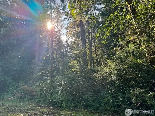 12408 93rd Street, Anderson Island, WA 98303