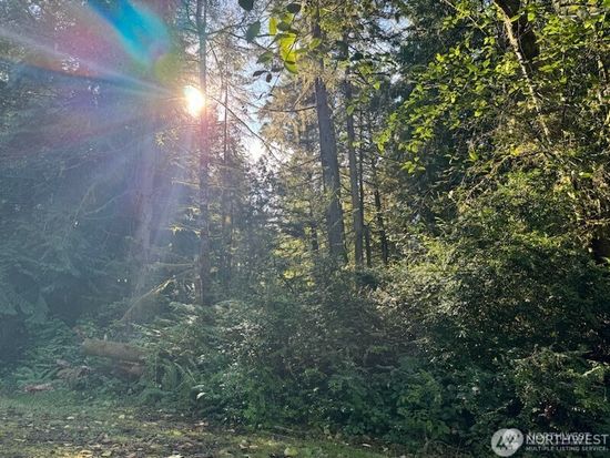 12408 93rd Street, Anderson Island, WA 98303