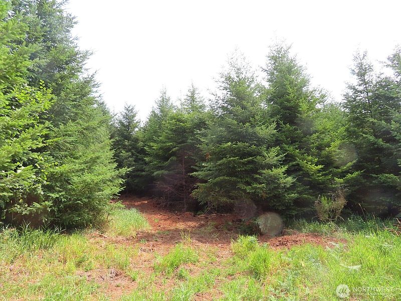2nd image of 0 Lot H Mill Creek Lane