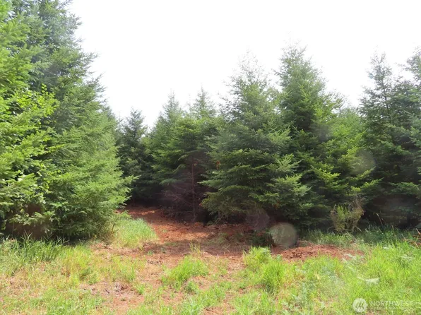 0 Lot E Mill Creek Lane, Longview, WA 98632