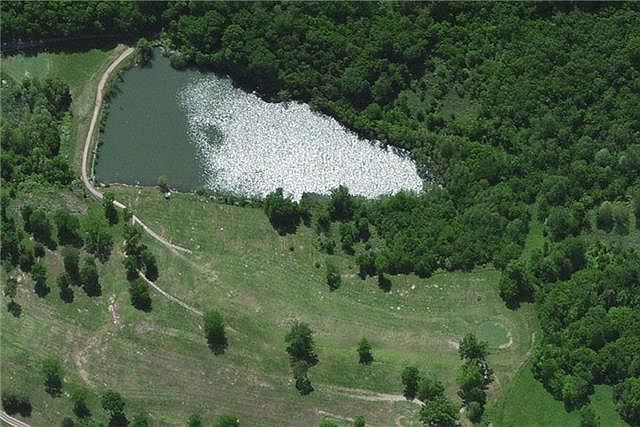 2nd image of 2470 Lynnville Hwy