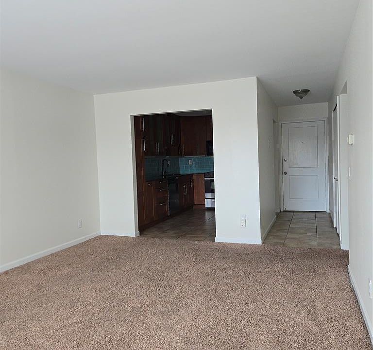 1160 Catalpa Dr Apt 207, photo 13