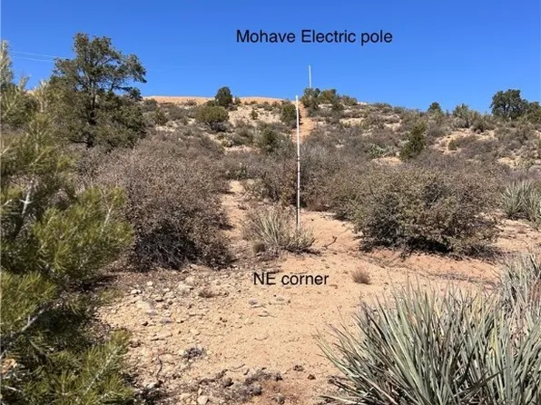 LOT 65 N Pine Valley Dr, Hackberry, AZ 86411