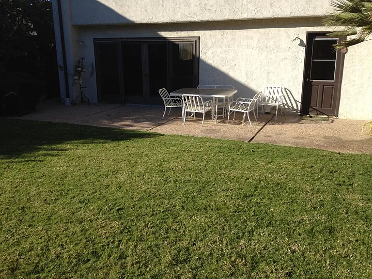 Backyard