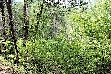1st image of 0 Houge Way Lot 6