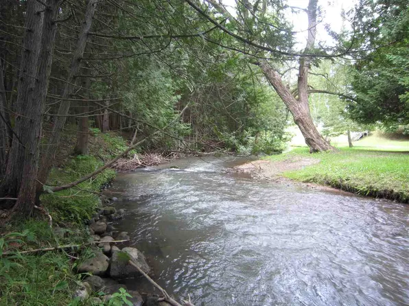 N/a Beechwood Rd, Rose City, MI 48654