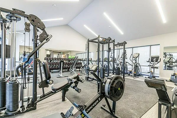 Amenity- Fully equipped gym