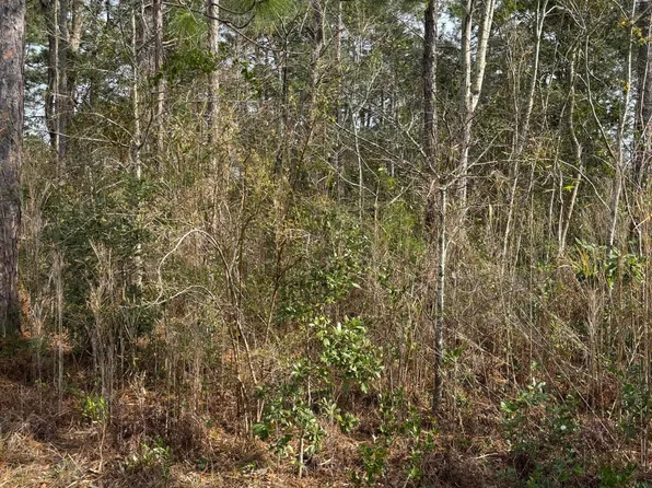 0 Woodcrest Road, Boiling Spring Lakes, NC 28461