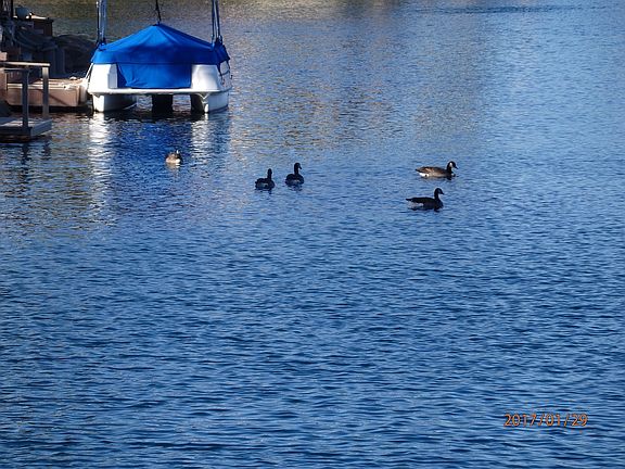 3rd image of 10080 E Mountainview Lake Dr #L 150