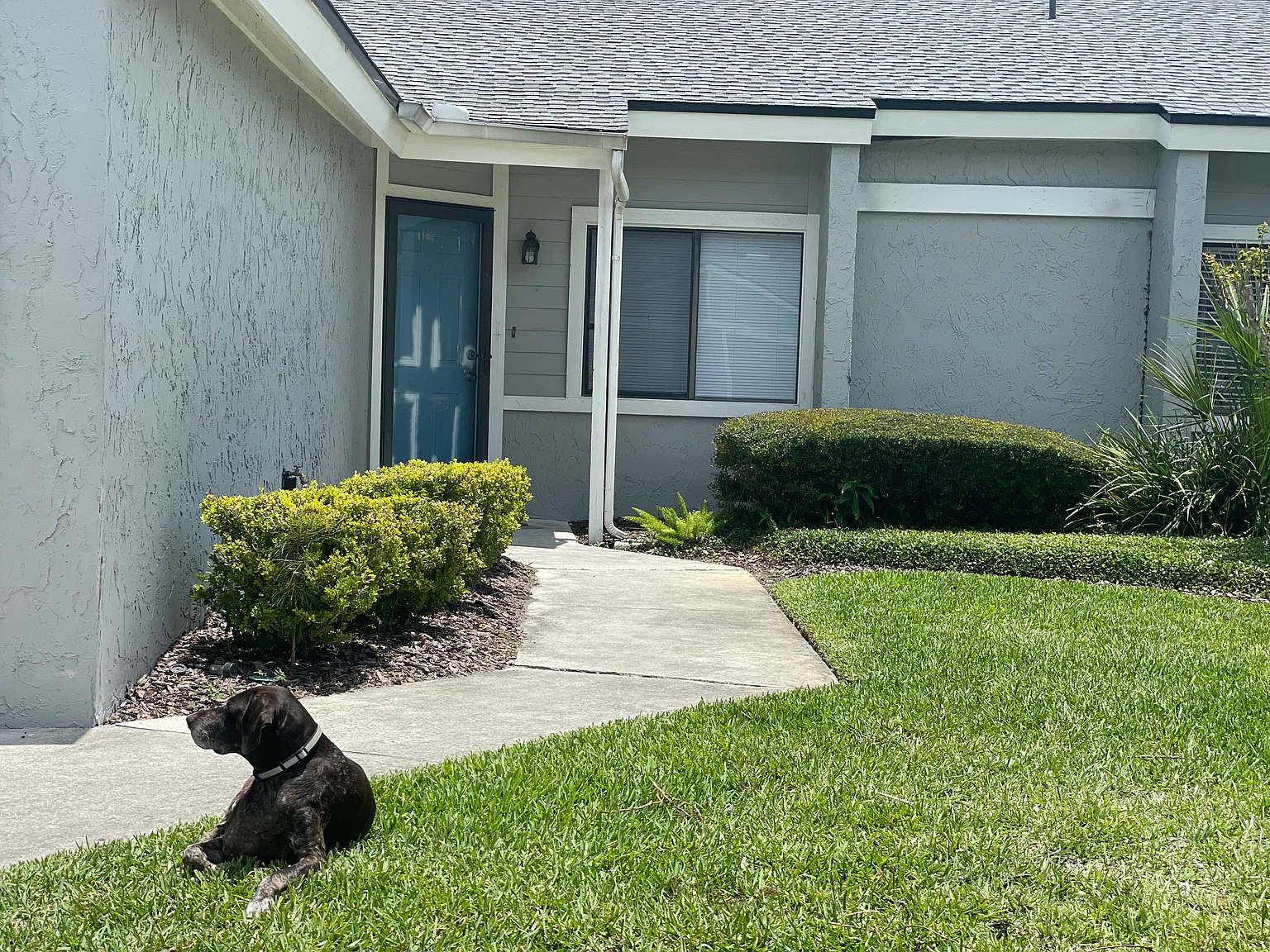 2 bed, 1038 sqft, $3,000 — Photo 1