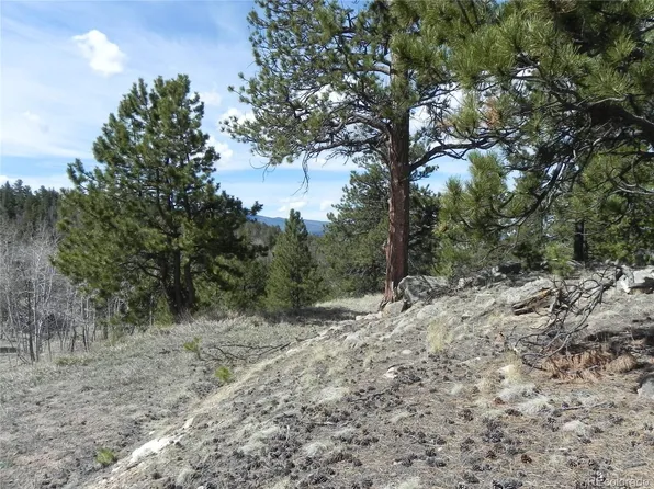160 Broken Arrow Path LOT 7, Lake George, CO 80827