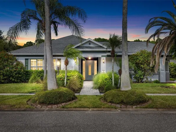 12009 BREWSTER DRIVE, TAMPA, FL 33626