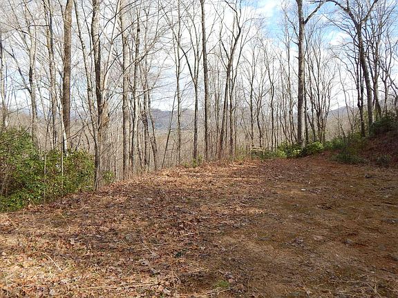 2nd image of 2345 Little Cove Dr
