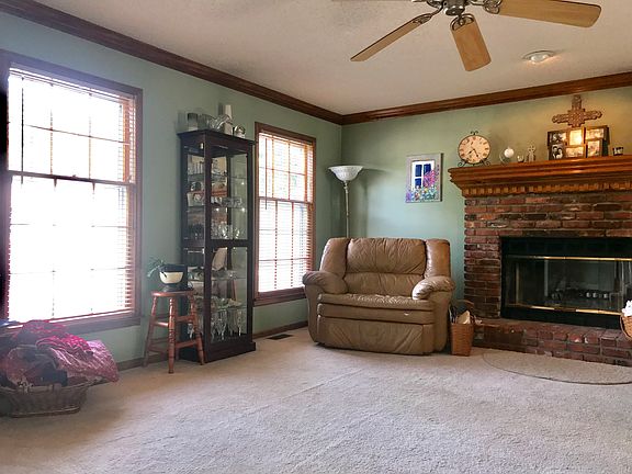 Wood burning fireplace