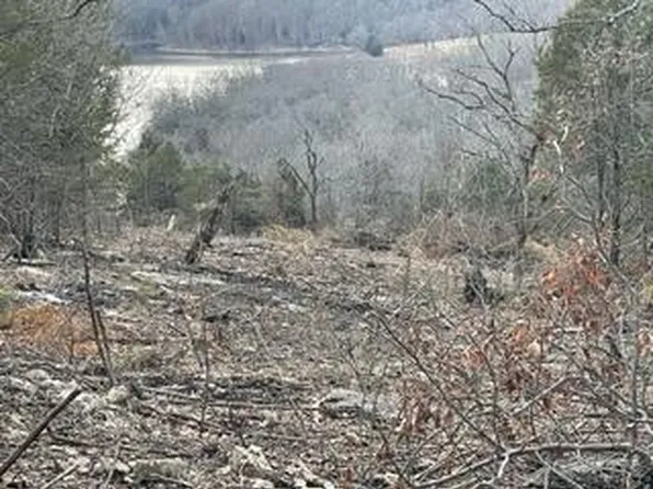 LOT 4 Talking Rocks Rd, Reeds Spring, MO 65737