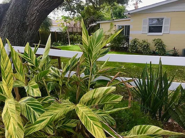 1557 S Banana River Dr — Photo 8