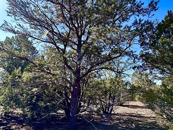 3rd image of TBD County Rd N3029 -- #11