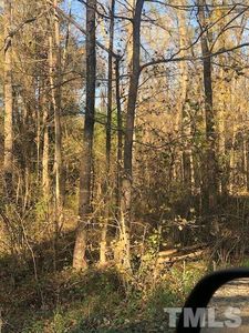 Old Pleasant Dr LOT 24, Hillsborough, NC, 27278