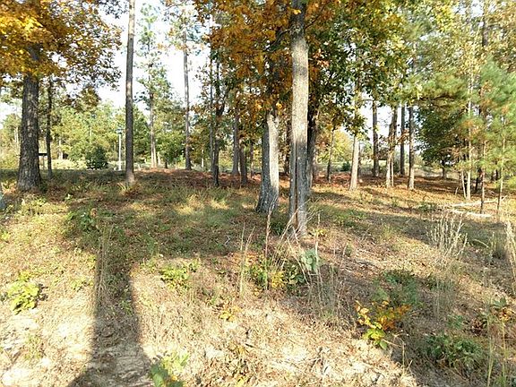5th image of 255 Grassy Creek Ln