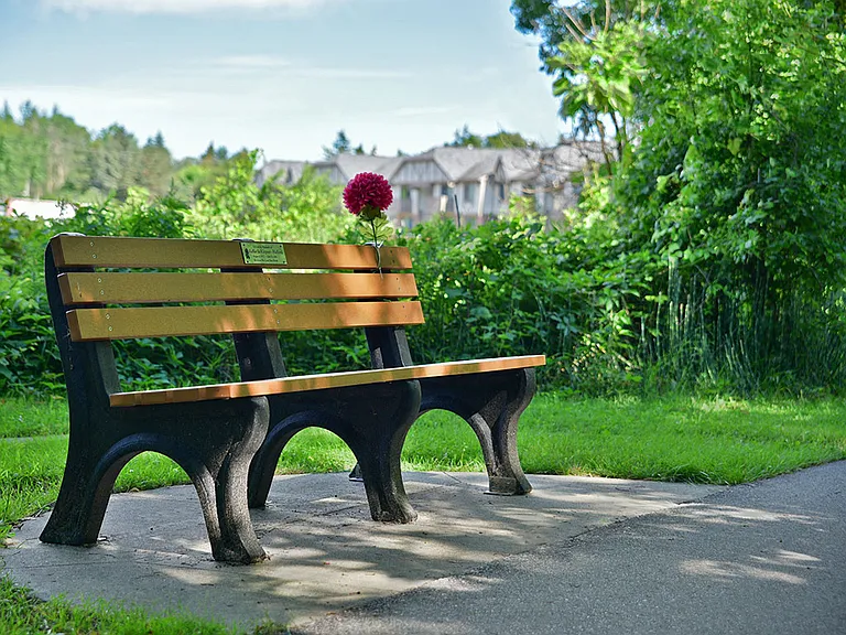 Bench Along Walking Trail