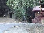 Entrance to Property