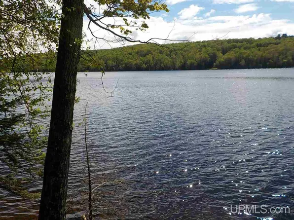 Swante Aho Rd Lot 1, Crystal Falls, MI 49920