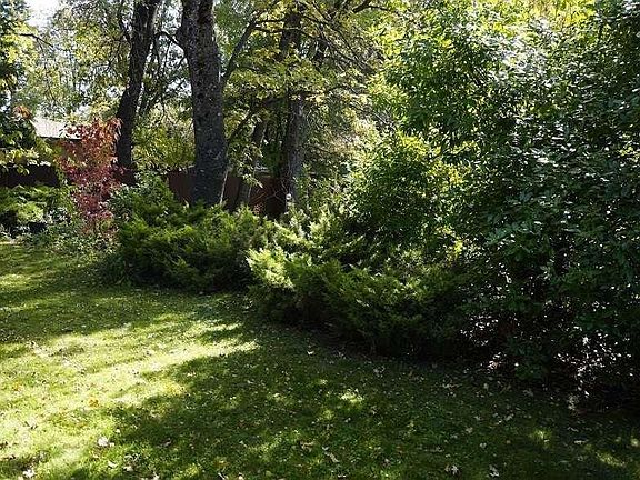 Front yard in Summer
