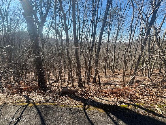 3rd image of 207 Laurel Mountain Rd