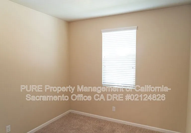 5572 Amnest Way — Photo 3