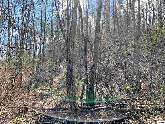 5th image of 9 Sulpher Springs Way Lot 9