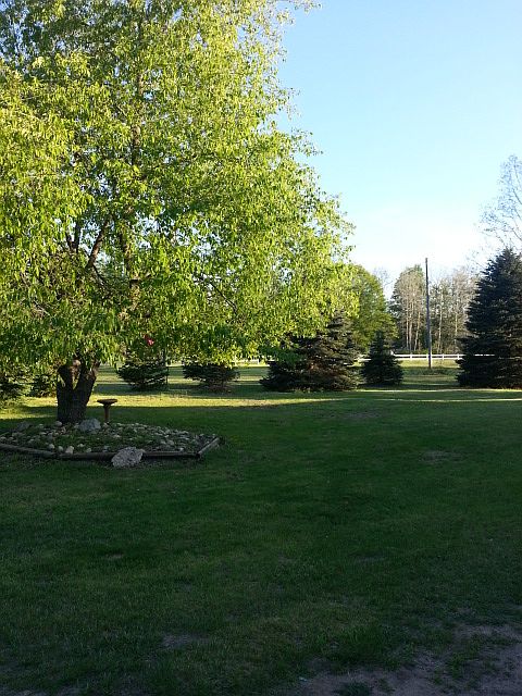 front yard view
