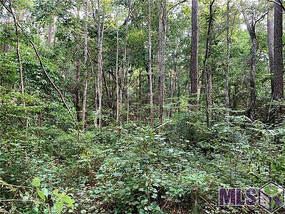4th image of School Section Rd