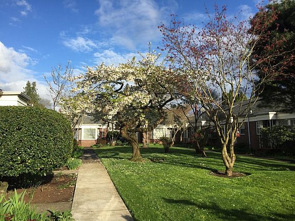 Spring at Paradise Villa
