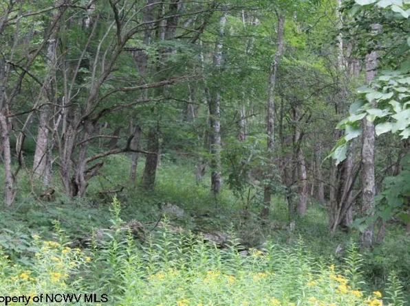 21 E Meadows Rd, Harman, WV 26270