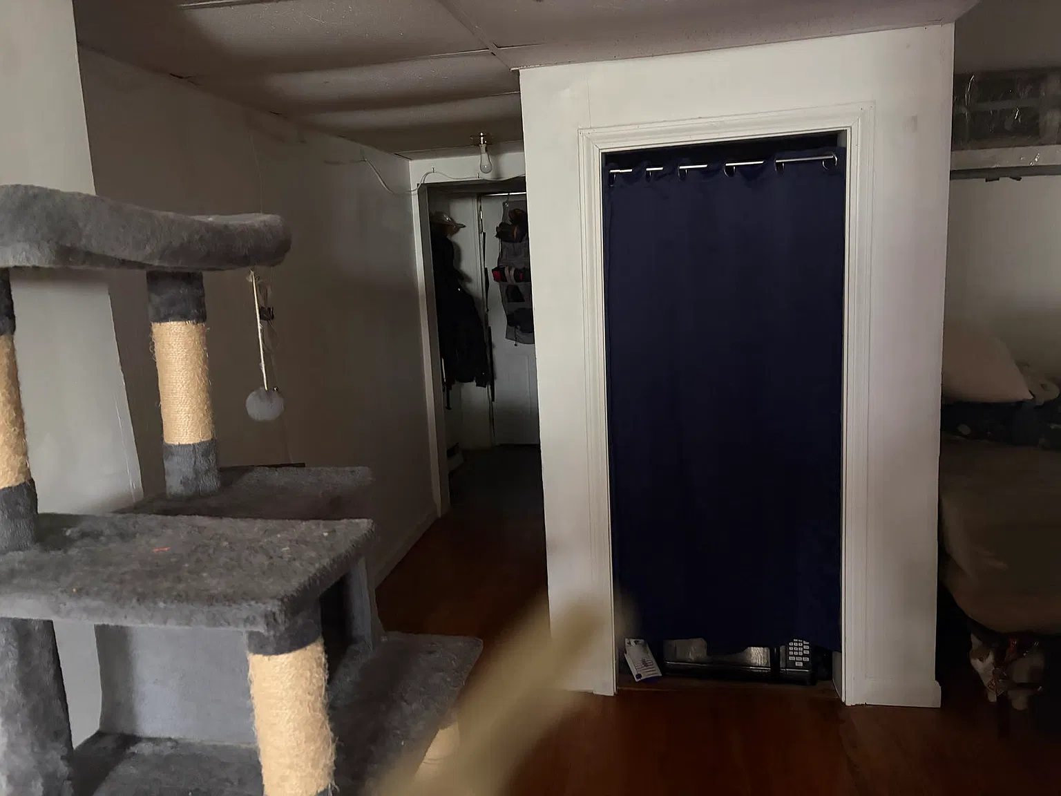 Studio, $825 — Photo 1