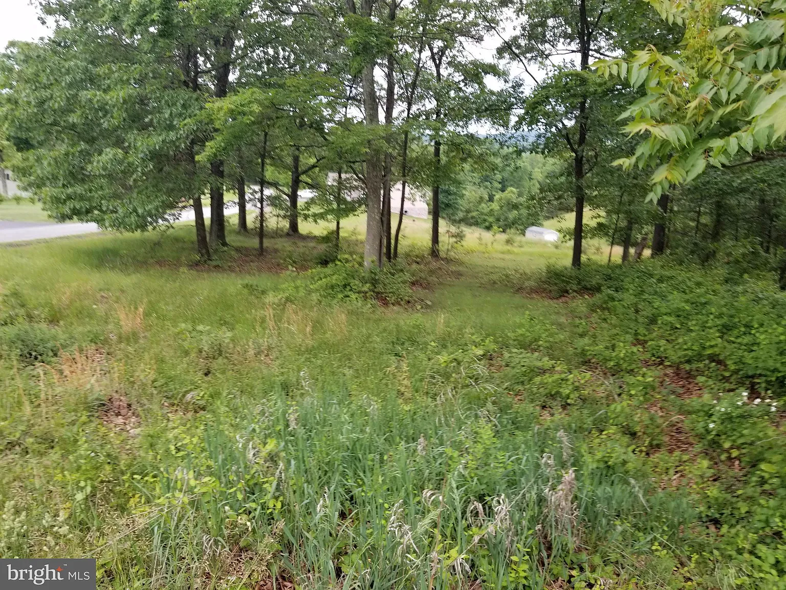 Fairview Oaks Ln photo 1