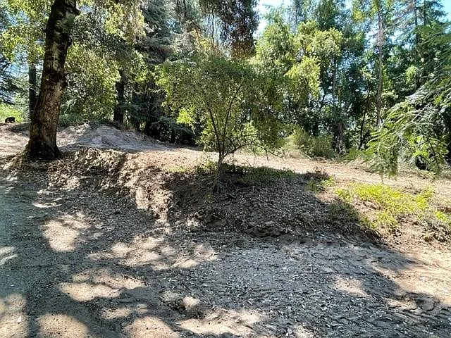 garden area 1