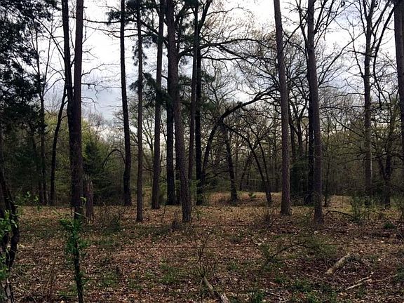 2nd image of 000 Fm 115