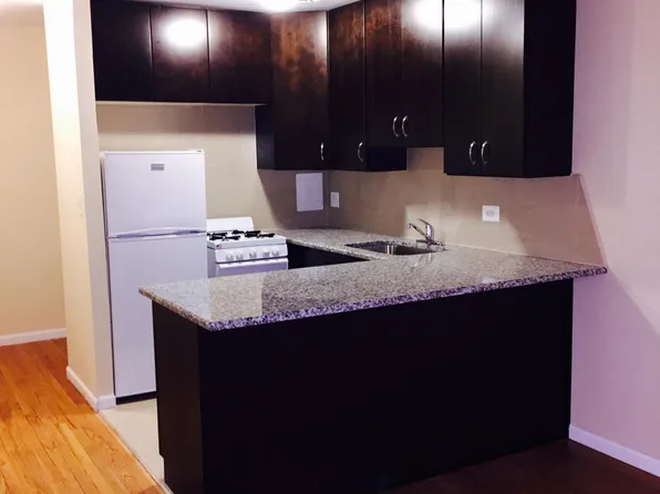 1025 W Hollywood Ave, Chicago, IL