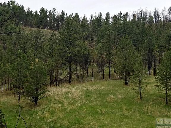 3rd image of Nhn Deer Ln